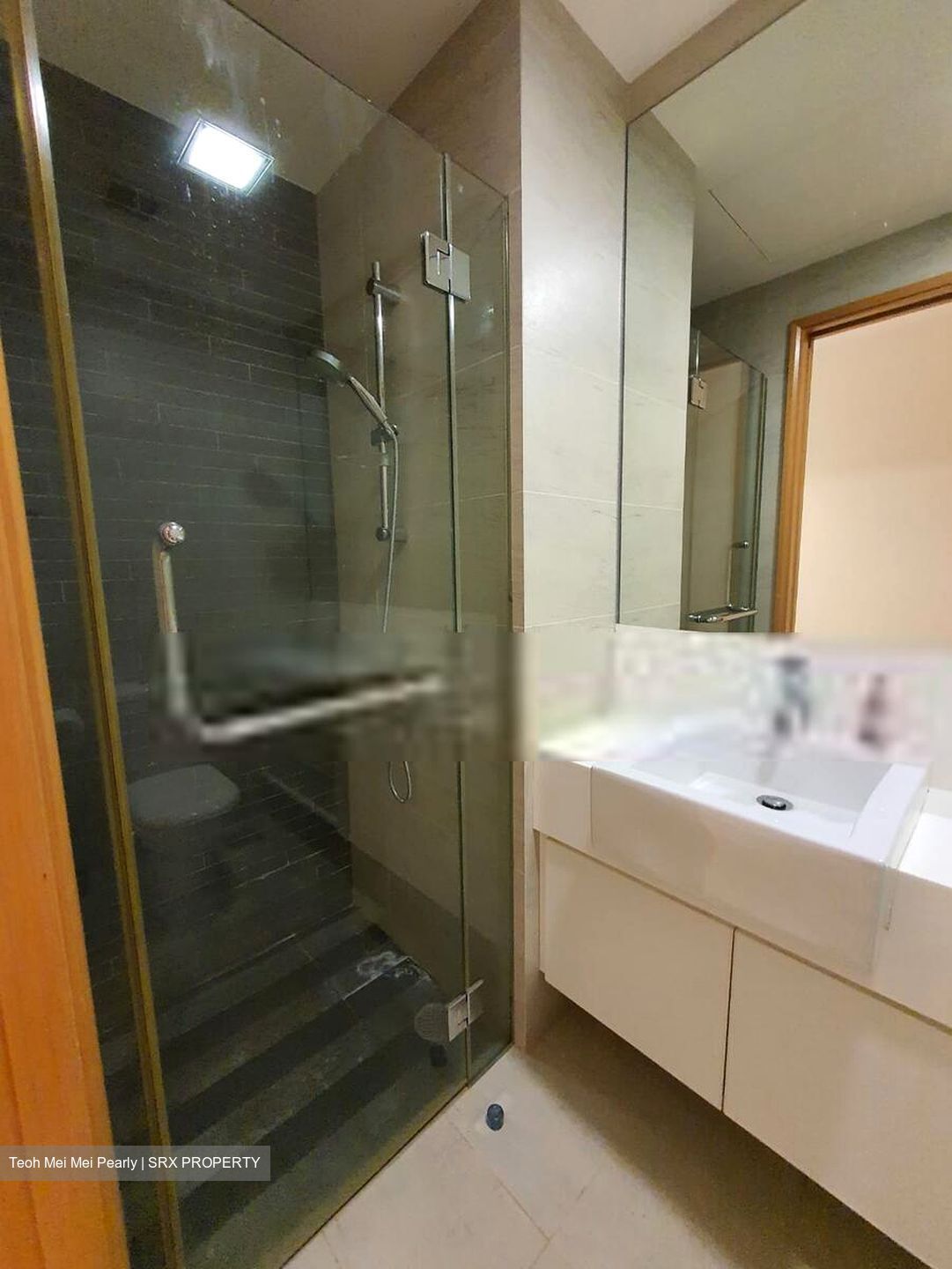 Park Infinia At Wee Nam (D11), Condominium #402337371